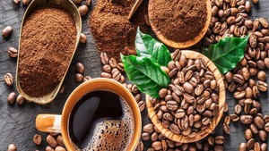 Cà phê xuất khẩu vào châu Âu: Phải chứng minh không trồng trên đất rừng